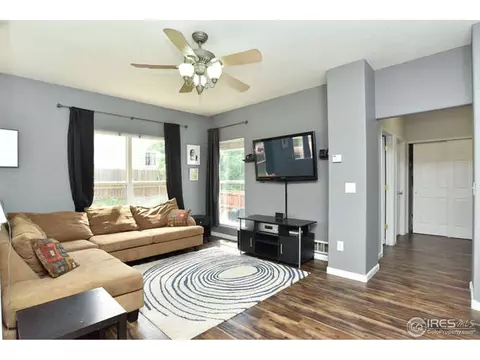 6193 Snowberry Ave, Firestone, CO 80504 photo 7