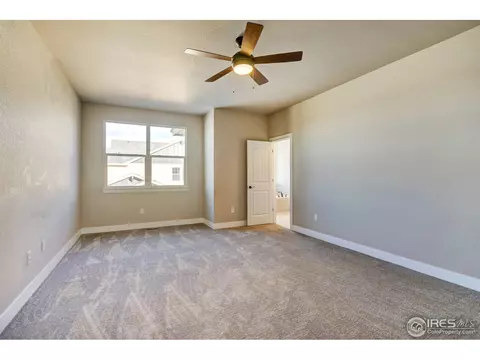 608 Gore Range Dr, Windsor, CO 80550 photo 13