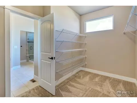608 Gore Range Dr, Windsor, CO 80550 photo 17
