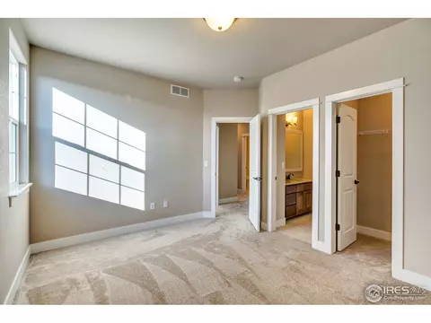 608 Gore Range Dr, Windsor, CO 80550 photo 19
