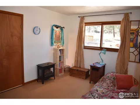507 Deer Ln, Lyons, CO 80540 photo 20