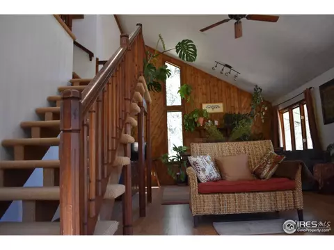 507 Deer Ln, Lyons, CO 80540 photo 9