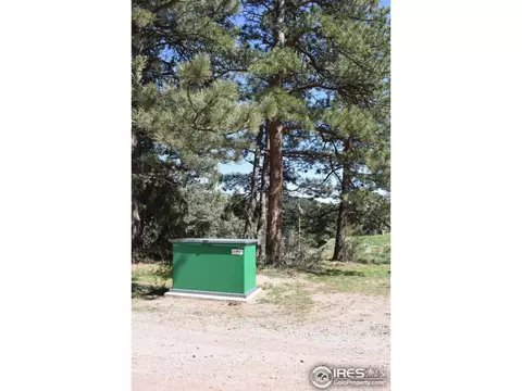507 Deer Ln, Lyons, CO 80540 photo 24