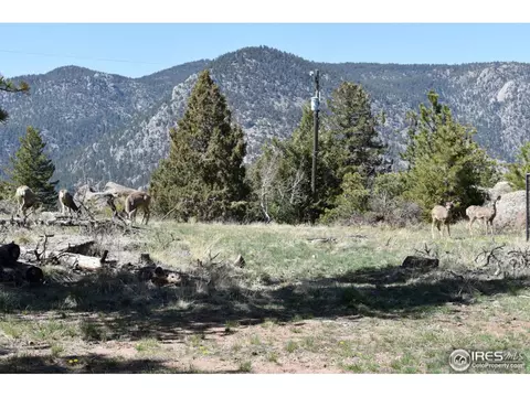 507 Deer Ln, Lyons, CO 80540 photo 26