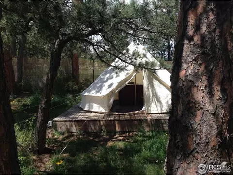 507 Deer Ln, Lyons, CO 80540 photo 22