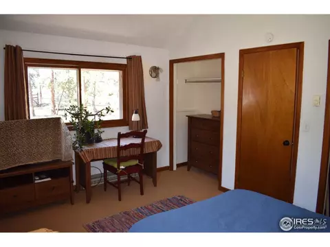 507 Deer Ln, Lyons, CO 80540 photo 15