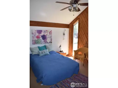 507 Deer Ln, Lyons, CO 80540 photo 13