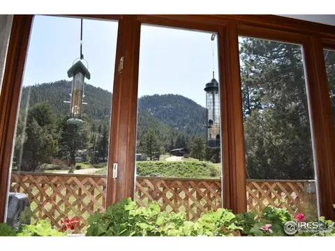 507 Deer Ln, Lyons, CO 80540 photo 11