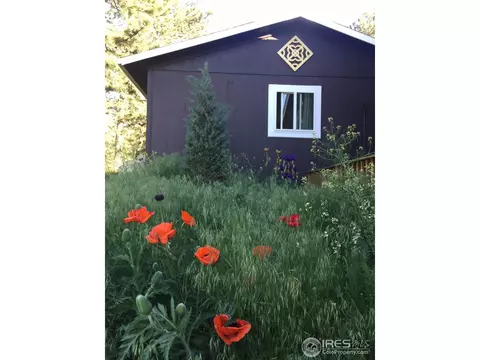 507 Deer Ln, Lyons, CO 80540 photo 35