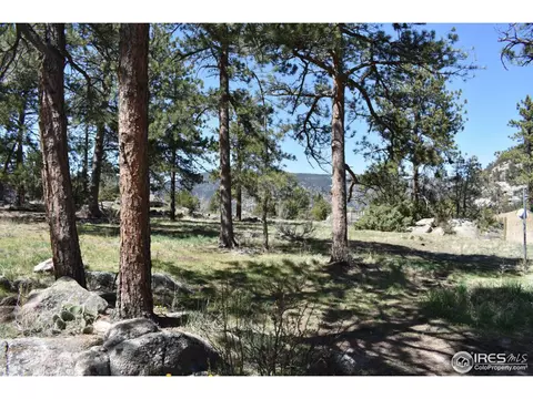 507 Deer Ln, Lyons, CO 80540 photo 3
