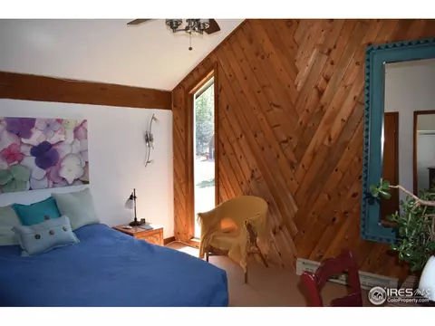 507 Deer Ln, Lyons, CO 80540 photo 14
