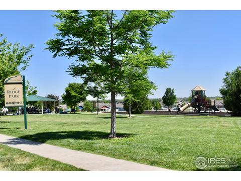 4313 Phlox Ln, Evans, CO 80620 photo 24