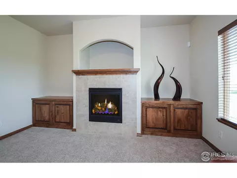 7150 Silver Ct, Timnath, CO 80547 photo 2