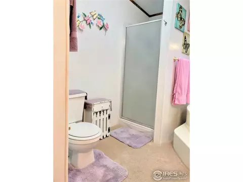 516 E 7th St, Flagler, CO 80815 photo 13