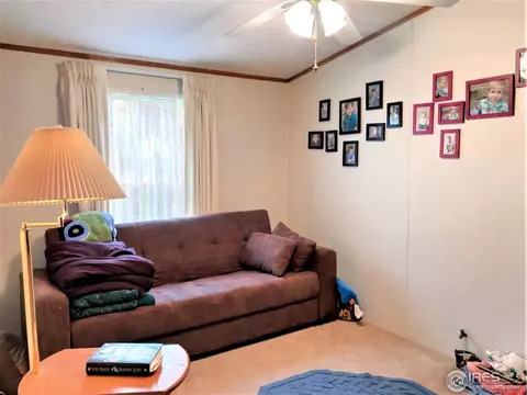 516 E 7th St, Flagler, CO 80815 photo 24