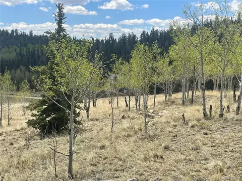 636 Sharps Way, Como, CO 80432 photo 7