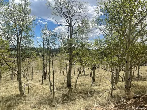 636 Sharps Way, Como, CO 80432 photo 13