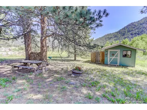 63 Pinewood Dr, Lyons, CO 80540 photo 36
