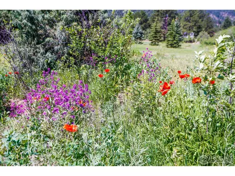 63 Pinewood Dr, Lyons, CO 80540 photo 29