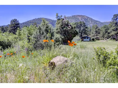 63 Pinewood Dr, Lyons, CO 80540 photo 32