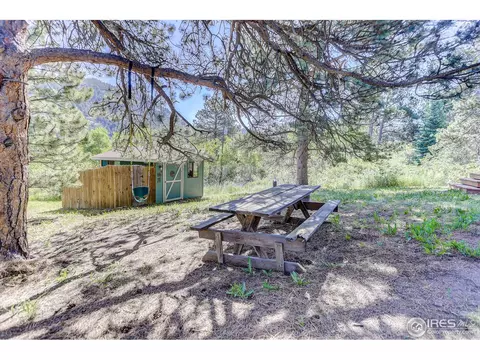 63 Pinewood Dr, Lyons, CO 80540 photo 34