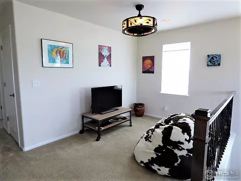 3386 E 141st Pl, Thornton, CO 80602 photo 18