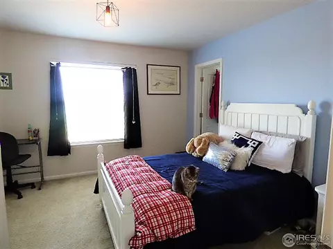3386 E 141st Pl, Thornton, CO 80602 photo 27