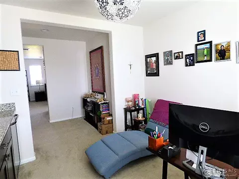 3386 E 141st Pl, Thornton, CO 80602 photo 22