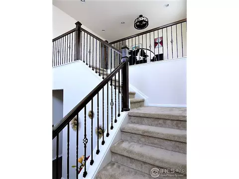 3386 E 141st Pl, Thornton, CO 80602 photo 17