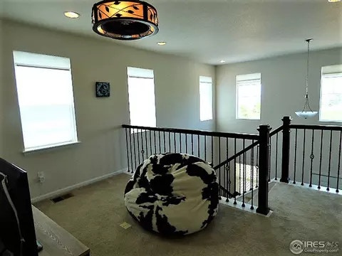 3386 E 141st Pl, Thornton, CO 80602 photo 19