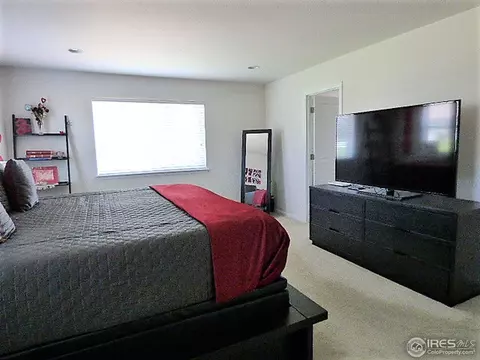 3386 E 141st Pl, Thornton, CO 80602 photo 26