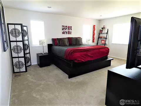 3386 E 141st Pl, Thornton, CO 80602 photo 24