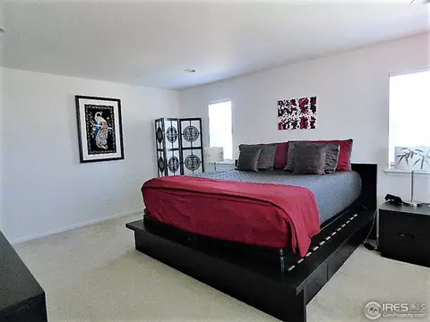3386 E 141st Pl, Thornton, CO 80602 photo 25