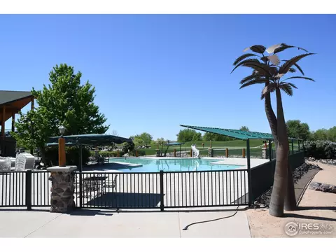 1524 Sandy Ln, Windsor, CO 80550 photo 38