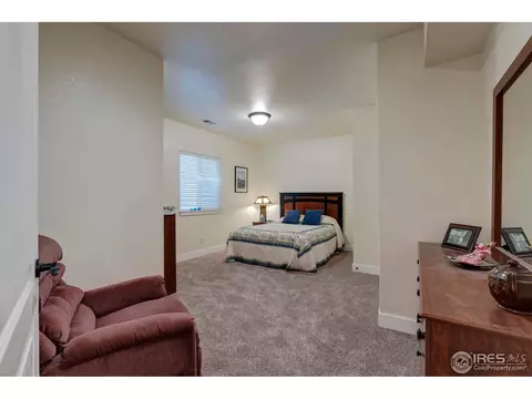 1524 Sandy Ln, Windsor, CO 80550 photo 26