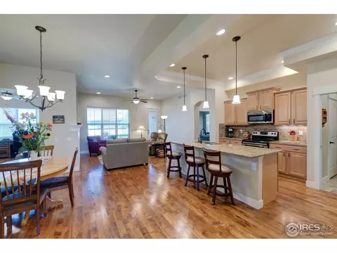 1524 Sandy Ln, Windsor, CO 80550 photo 9