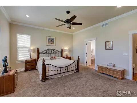 1524 Sandy Ln, Windsor, CO 80550 photo 19