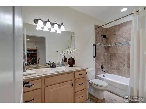 1524 Sandy Ln, Windsor, CO 80550 photo 30