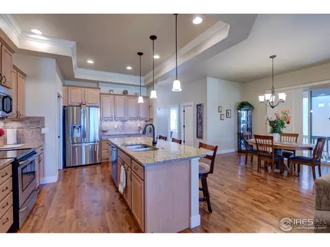 1524 Sandy Ln, Windsor, CO 80550 photo 10