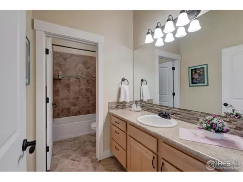1524 Sandy Ln, Windsor, CO 80550 photo 22