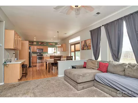 4731 E 125th Ave, Thornton, CO 80241 photo 9