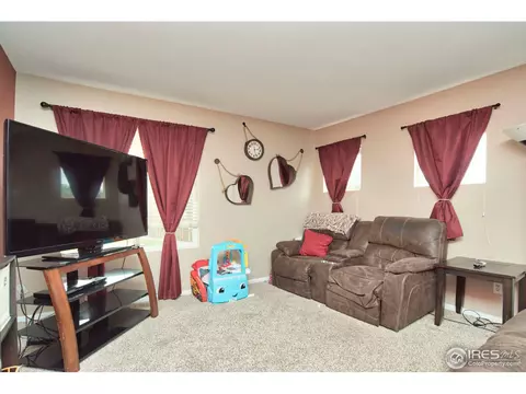 4731 E 125th Ave, Thornton, CO 80241 photo 13