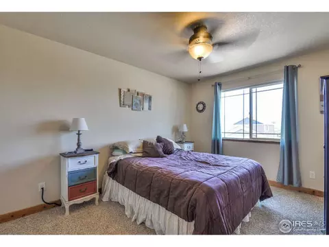 631 Denali Ct, Windsor, CO 80550 photo 22