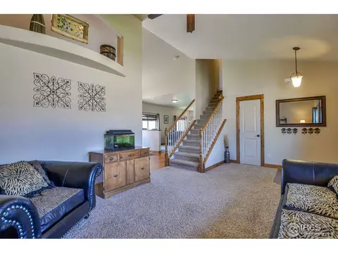 631 Denali Ct, Windsor, CO 80550 photo 16