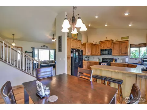 631 Denali Ct, Windsor, CO 80550 photo 4
