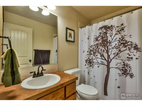 631 Denali Ct, Windsor, CO 80550 photo 24