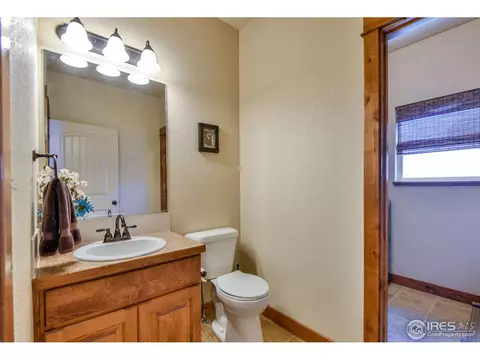 631 Denali Ct, Windsor, CO 80550 photo 21