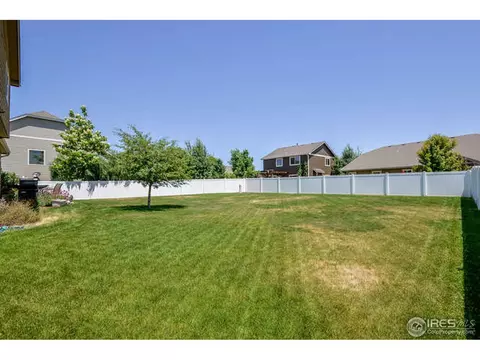 631 Denali Ct, Windsor, CO 80550 photo 34