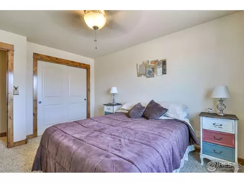 631 Denali Ct, Windsor, CO 80550 photo 23