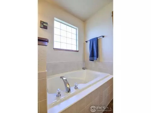 631 Denali Ct, Windsor, CO 80550 photo 20